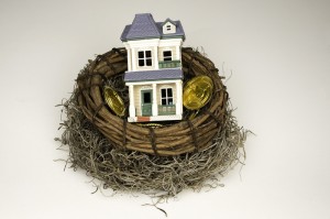 http://www.dreamstime.com/stock-photo-retirement-nest-egg-image13925080